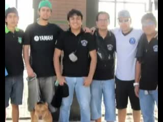 3er campeonato pitsport team best pit bull (tacna perú) (arica chile) apbt