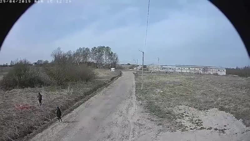 Ленинградская область