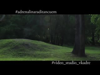 Феечки и фей mp4