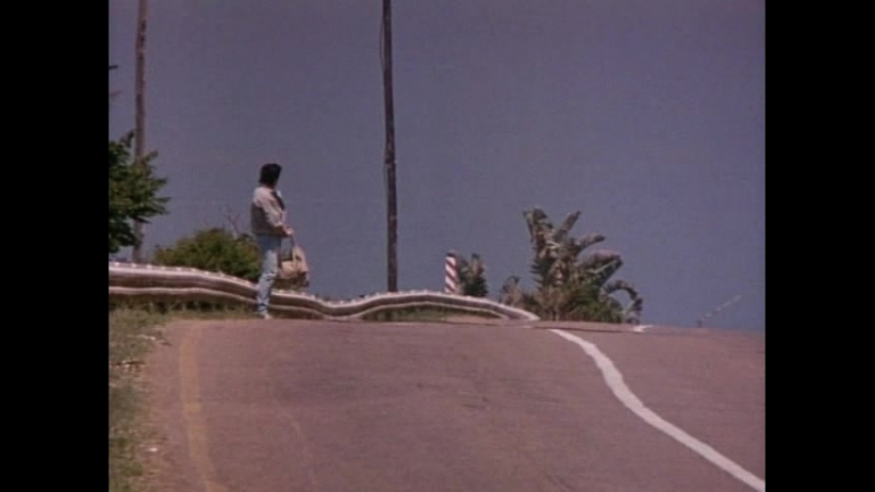 Американский кикбоксер / american kickboxer (1991)