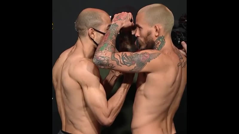 Стердаун жозе алдо и марлона веры🔥