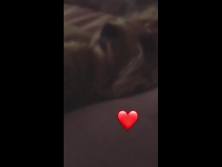 Via hayley's insta story