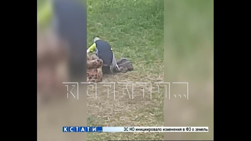 Неизвестный мужчина занялся развратными действиями прямо около молодые сада