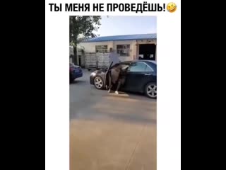 Ты меня не проведёшь😂