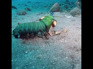 Everyday ocean 20200207 220110 0