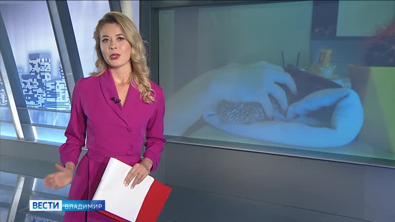 Африканский хищник стал домашним питомцем студентки из