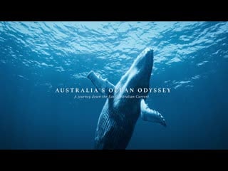 Australias ocean odyssey s01e01