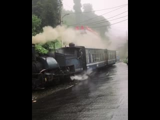 Just an old train riding along during a rainy day 🚂 darjeeling, india