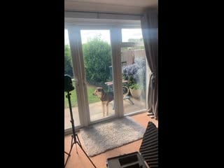 Story tom grennan mtv cribs shooting