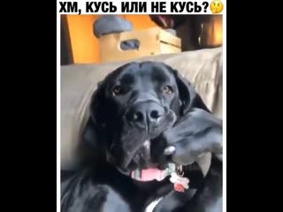 Не мешайте я думу думаю 👍