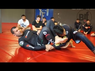 Rodolfo vieira armbar from butterfly guard