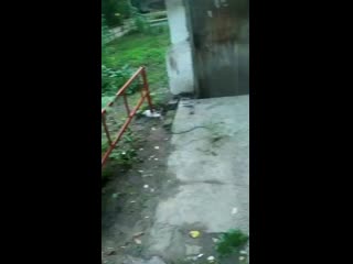 Vid 20200706 202552 mp4