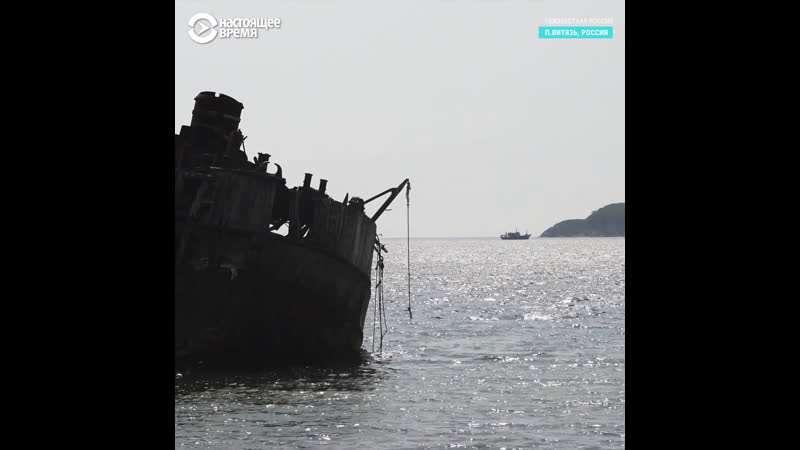 Бухта витязь боевые тюлени и морские деликатесы