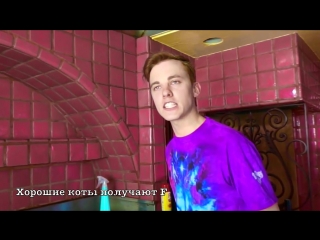 Silly cat (brandon rogers ft jon cozart) // rus subs | глупый кот // русские субтитры