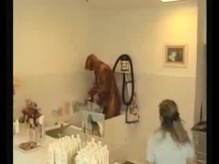 Remi gaillard doggy beauty