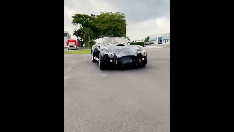 Cobra porn video – Cobra shelby