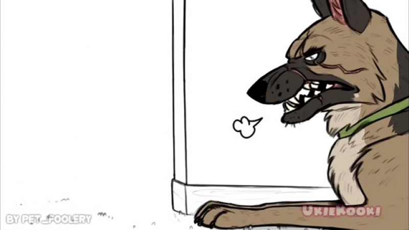 Pixie and brutus часть 2 (1)