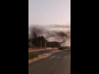 Chandigarh, kalka road (vhs video)