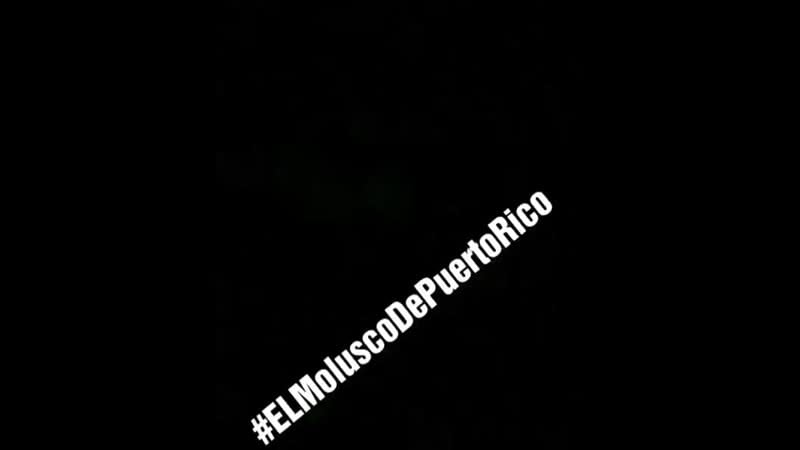 Результат ракетного удара по авиабазе аль ассад ирак