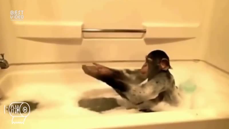 Красотки наводят красоту mp4