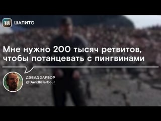 Шериф из «очень странных дел» станцевал с пингвинами в антарктике