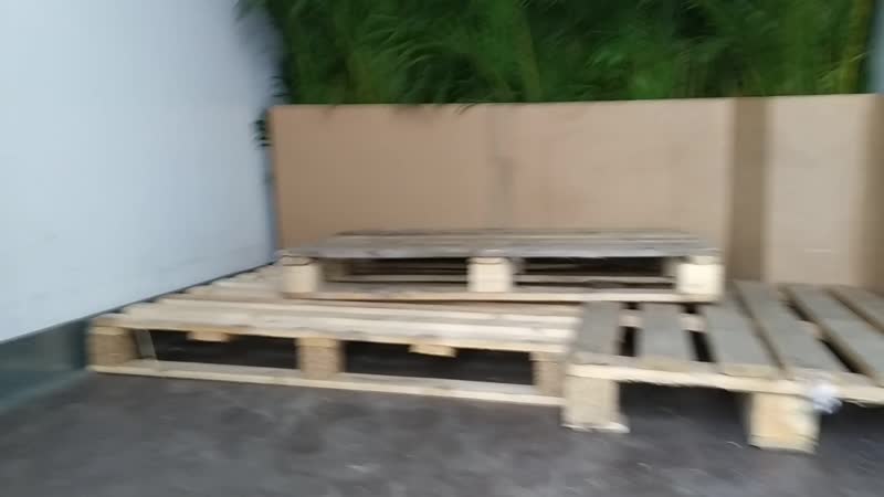 Подготоа к выстае, живые крабы