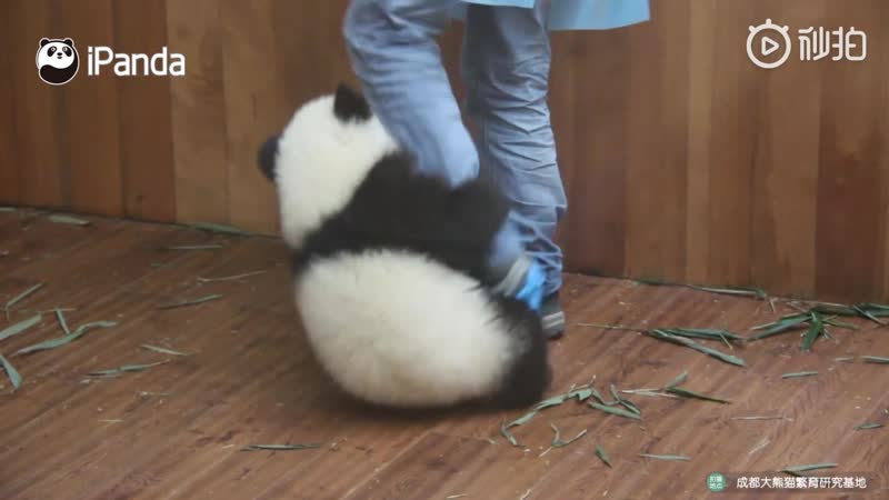 Я тебя не отпущу, пока не поиграешь со мной !)