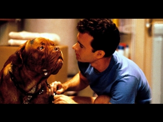 «тёрнер и хуч» /«turner and hooch» (1989)