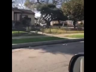 Inglewood family gangsta porn whacks out rollin 90s neighborhood crip