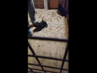 Vid 20201017 183125 mp4