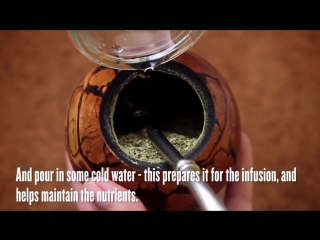 Yerba mate thirsty for