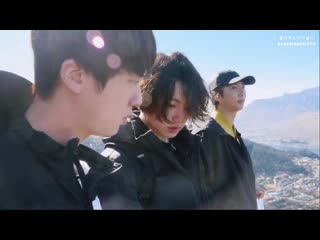 🐨 aren't humans just amazing? 🐹 wingardium leviosa 🐨 ???????????????????