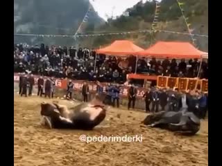 I pederim der ki “ kim kazandı kim kazandı