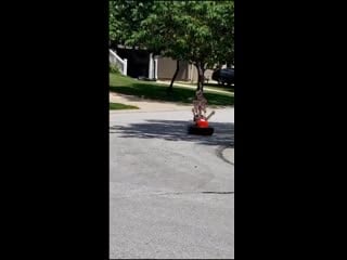Speedy skeleton drives bumper car