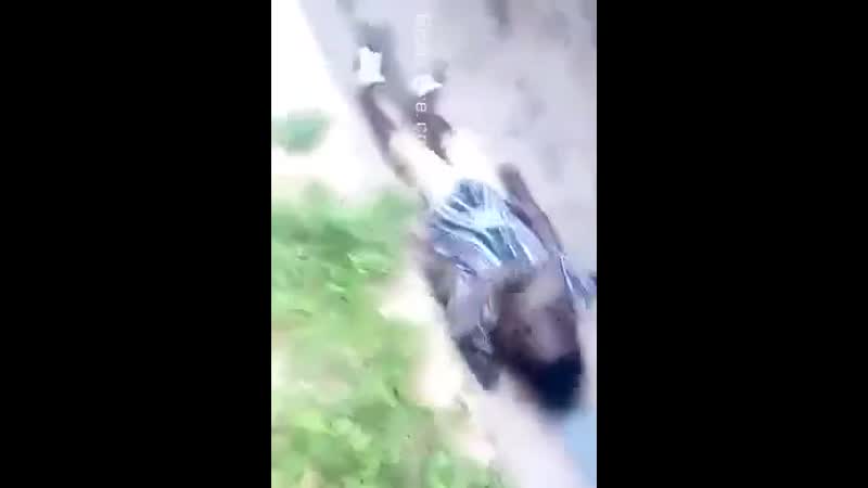 Питоны ловят свою добычу, ожидая ее в засаде