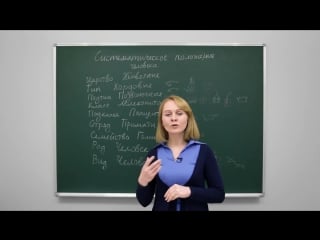 Анатомия и физиология человека систематическое положение человека центр онлайн обучения «фоксфорд»