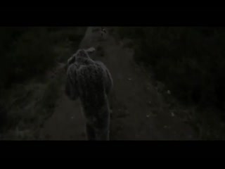 Кролик убийца со штуковиной 2011