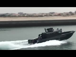 Идеальная лодка для патрулирования triton 850