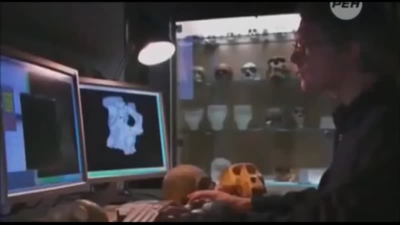 Комнатные ученые с рен тв выяснили, что женщина – это не человек