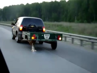 Русские непобедимы!