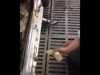 Машина из пены и шпаклеи