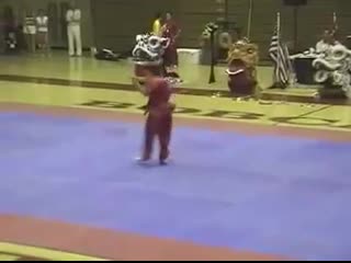 Masters demo chain whip with beijing wushu team 2003