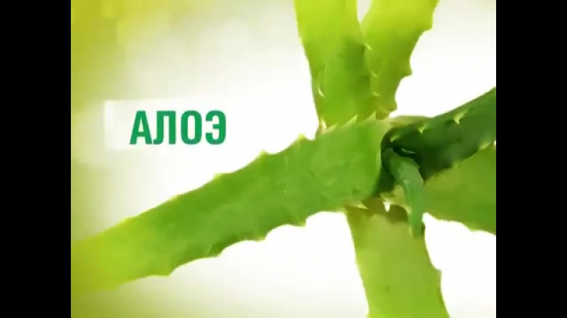 Природная энциклопедия amway home׃ алоэ