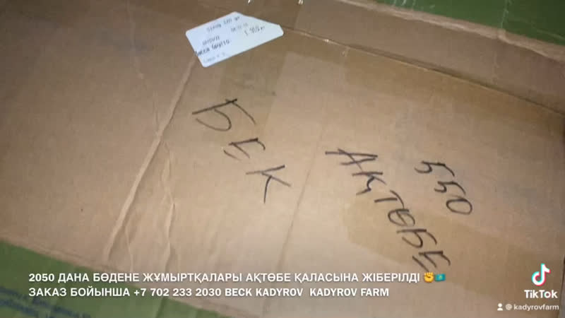 2050 дана бөдене жұмыртқалары ақтөбе қаласына жіберілді ✊🇰🇿