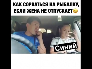 Видео от бар синий funtomass