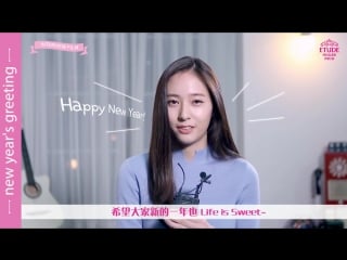 Etude house china happy new year 2017 (161230)