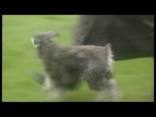 Spaced/долбанутые/1 сезон 5 серия