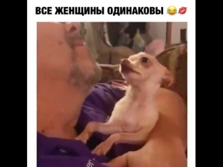 Все женщины одинаковы