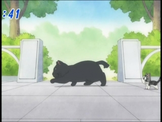 Chis sweet home [82 of 104] ancord