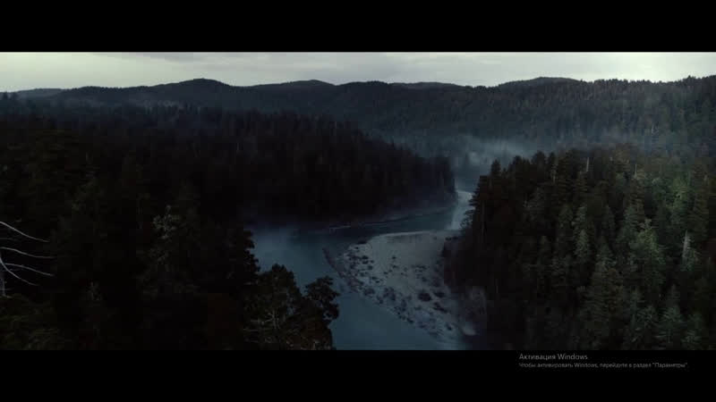 Птичий короб